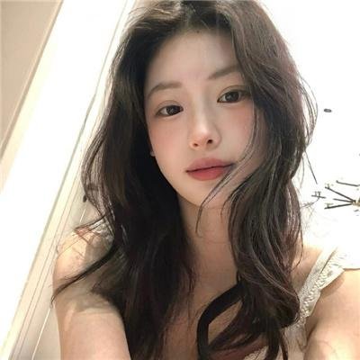 新手 在线观看